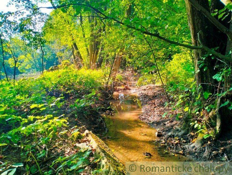 Nové Mesto nad Váhom Chata predaj reality Nové Mesto nad Váhom