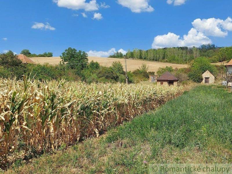 Komárno Chata predaj reality Komárno