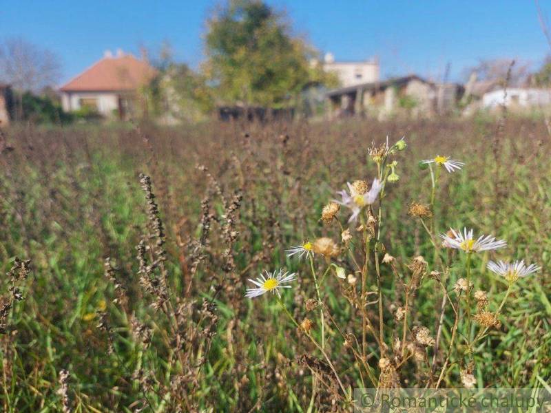 Kravany nad Dunajom Rodinný dom predaj reality Komárno