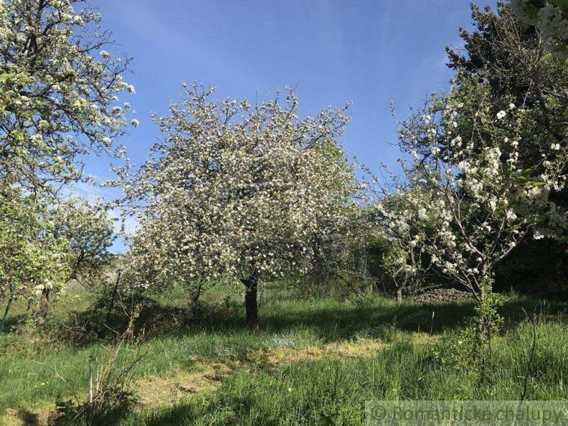 Banská Štiavnica Rodinný dom predaj reality Banská Štiavnica