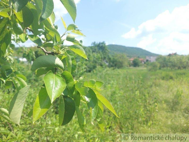 Kamenica nad Hronom Rodinný dom predaj reality Nové Zámky