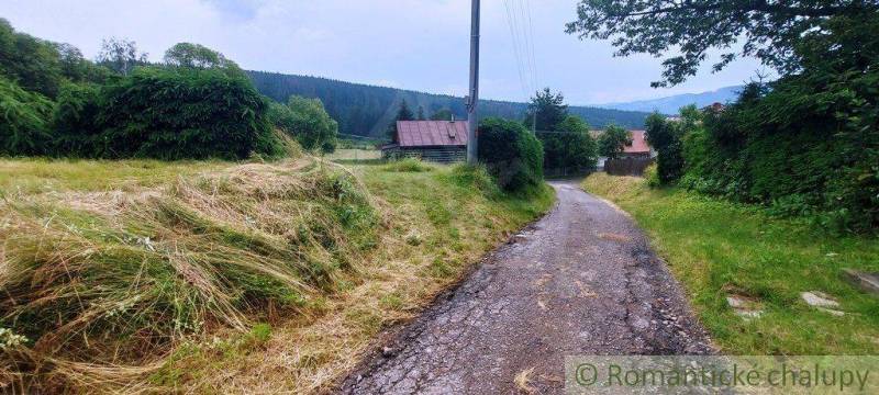 Braväcovo Poľnohospodárske a lesné pozemky predaj reality Brezno