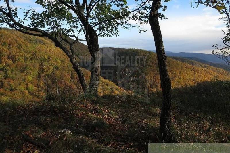 Silická Jablonica Záhrady predaj reality Rožňava