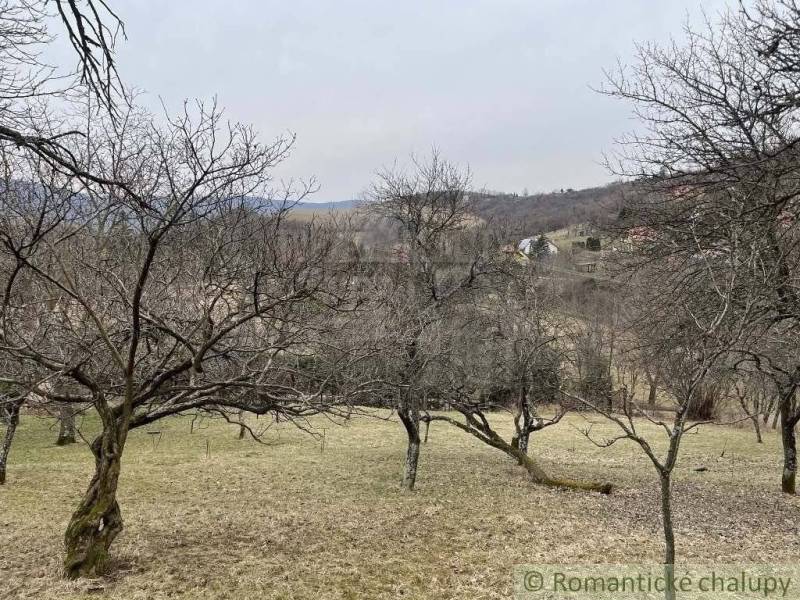 Jablonov nad Turňou Záhrady predaj reality Rožňava