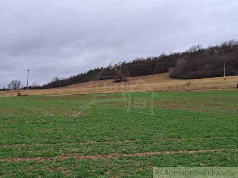 Zlaté Moravce Rodinný dom predaj reality Zlaté Moravce