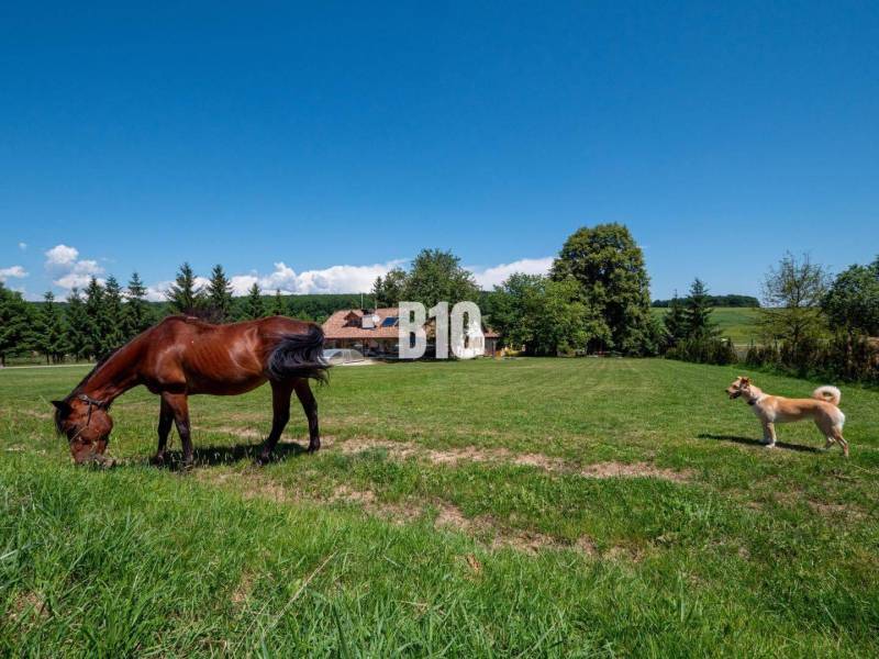 Breznička Vila predaj reality Poltár