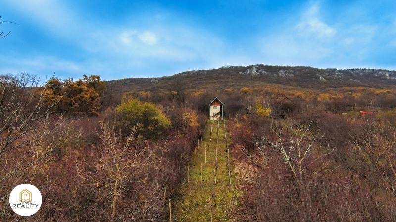 Predaj chatky s vinicou pri obci Hrhov