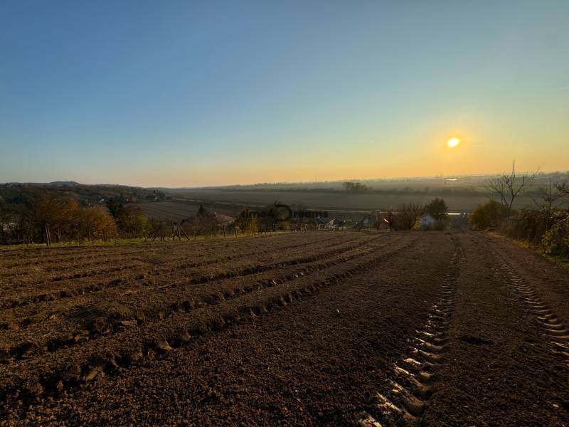 Levice Pozemky - bývanie predaj reality Levice