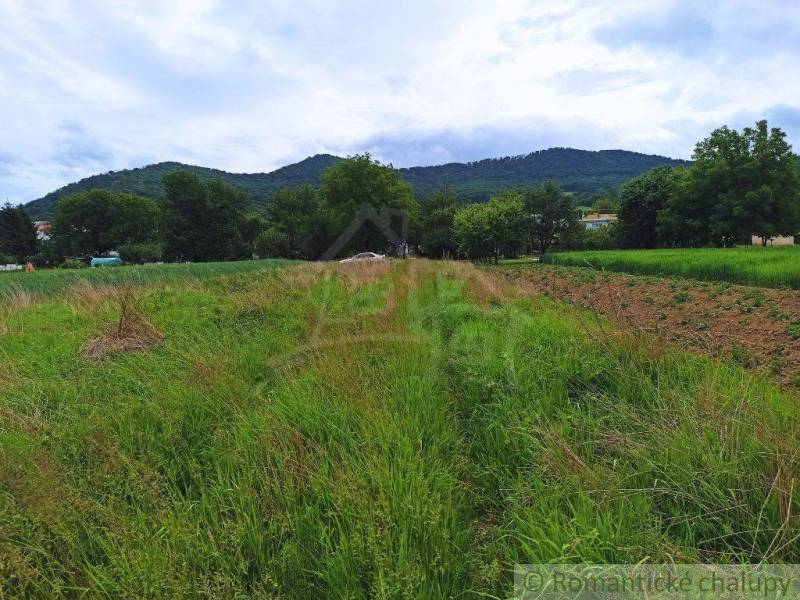 Humenné Poľnohospodárske a lesné pozemky predaj reality Humenné