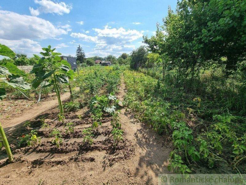 Hlohovec Rodinný dom predaj reality Hlohovec