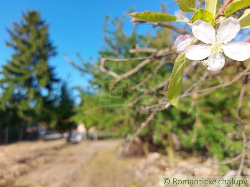 Komárno Pozemky - bývanie predaj reality Komárno