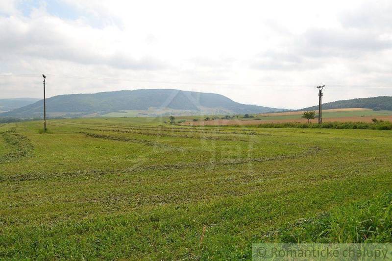 Bardejov Poľnohospodárske a lesné pozemky predaj reality Bardejov