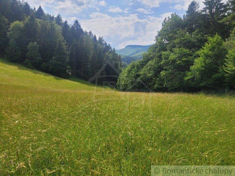 Záriečie Poľnohospodárske a lesné pozemky predaj reality Púchov