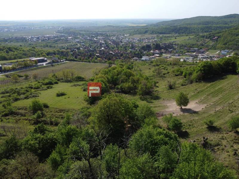 Limbach Pozemky - bývanie predaj reality Pezinok