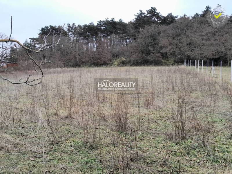 Koplotovce Pozemky - bývanie predaj reality Hlohovec