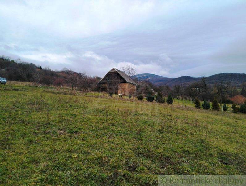 Nové Mesto nad Váhom Poľnohospodárske a lesné pozemky predaj reality Nové Mesto nad Váhom