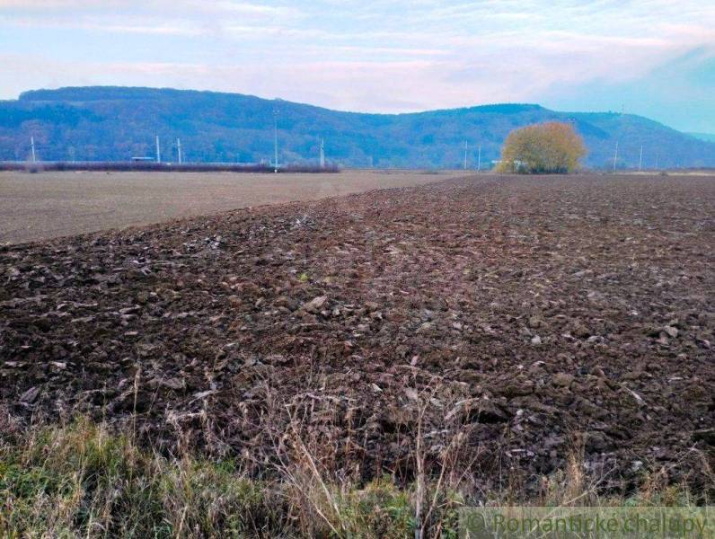 Trenčianske Bohuslavice Poľnohospodárske a lesné pozemky predaj reality Nové Mesto nad Váhom