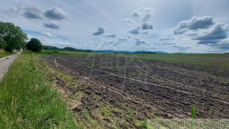 Borský Mikuláš Záhrady predaj reality Senica