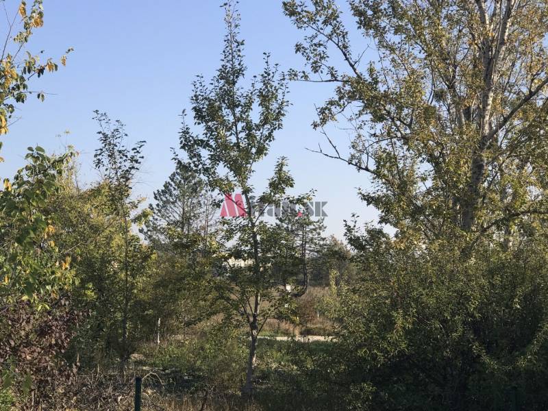 predaj, pozemky pre športový areál, CENTRO Čierna Voda - foto